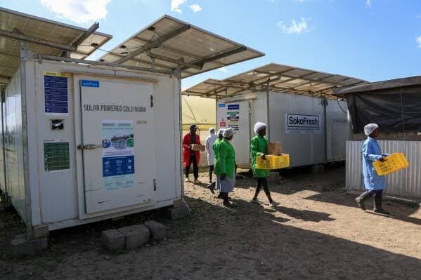 UK Clean Energy Fund Backs Solar Cold Storage for Nigerian Food Markets