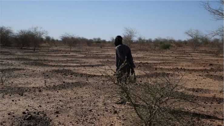 El Niño report projects 31,400 heat deaths in Nigeria in six months