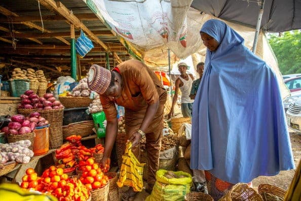 Week-43 food price watch: maize dips 1.6% as palm oil climbs 2.8%