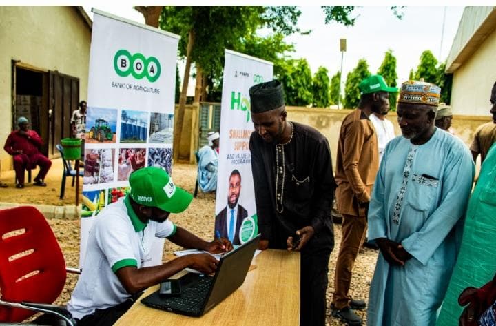 Bank of Agriculture anchors N200bn intervention on N350,000/tonne maize price floor