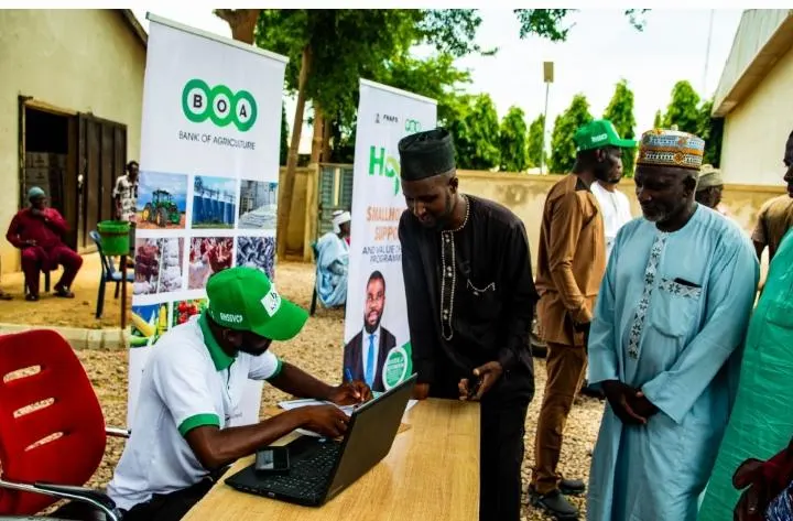 Bank of Agriculture anchors N200bn intervention on N350,000/tonne maize price floor