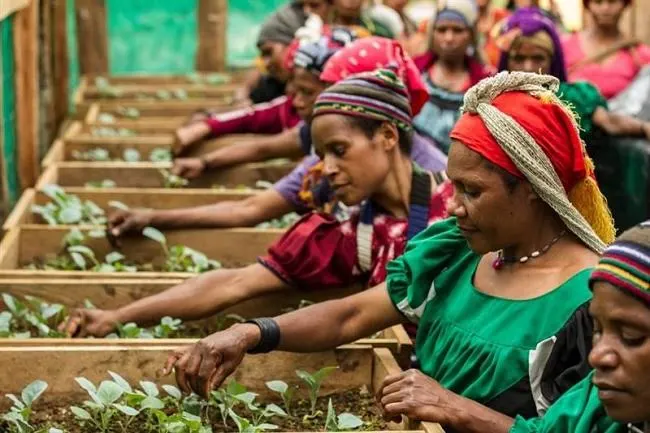 FSD Africa backs Nigerian women-led business network with $335,000