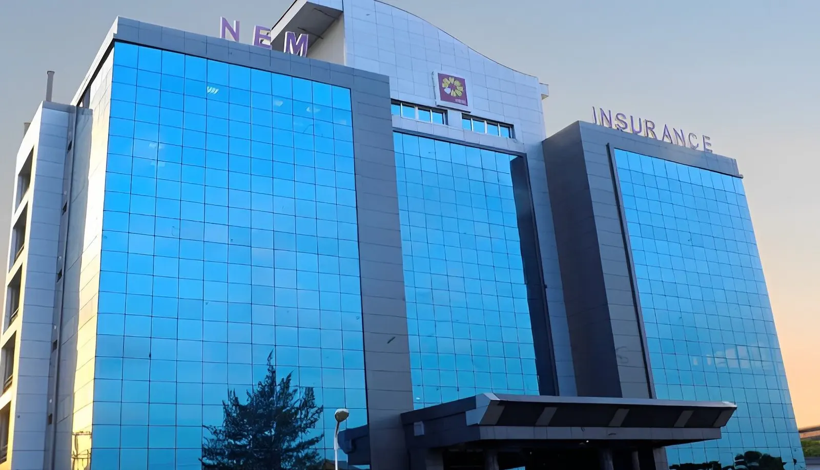 NEM profit rises 31% as operating cash flow turns negative